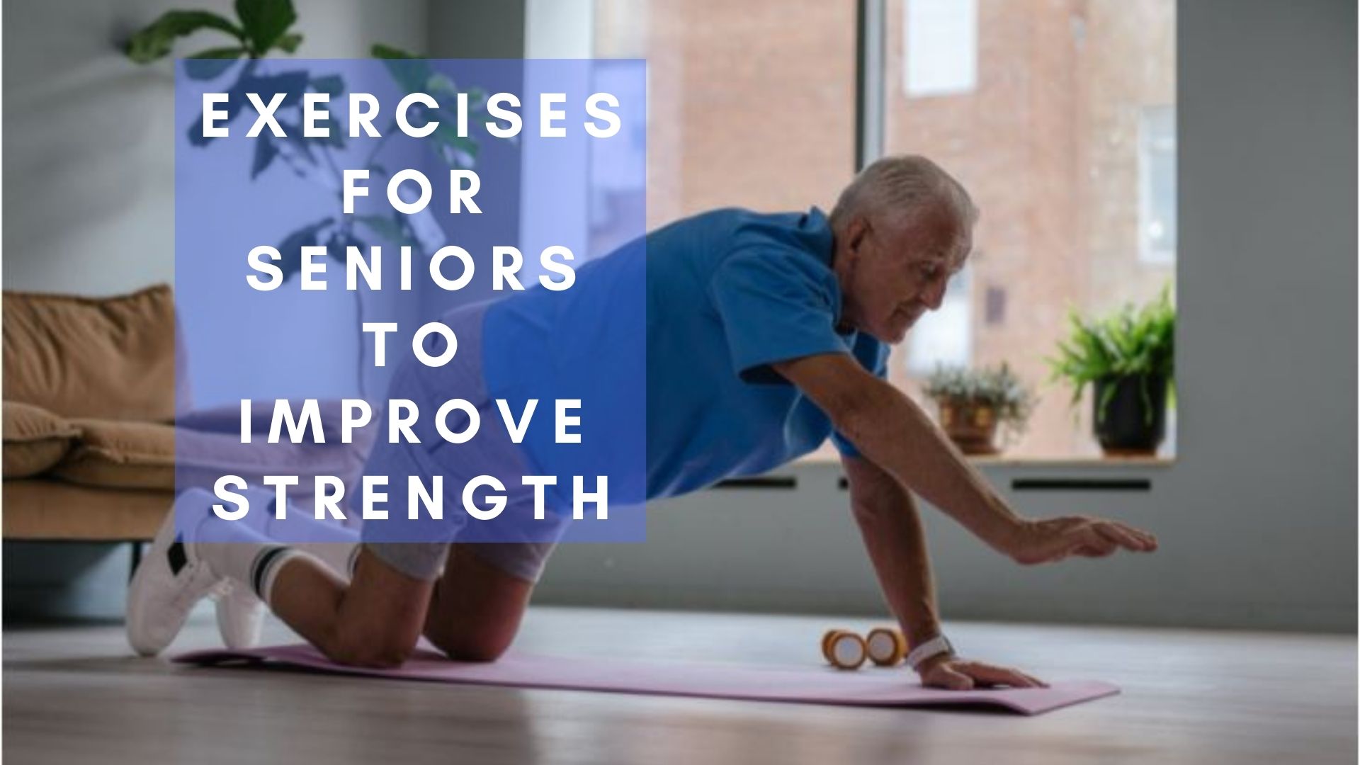 Exercises for Seniors